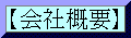 ЊTvւ̃N